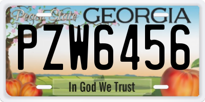 GA license plate PZW6456