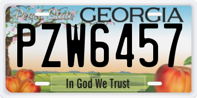 GA license plate PZW6457