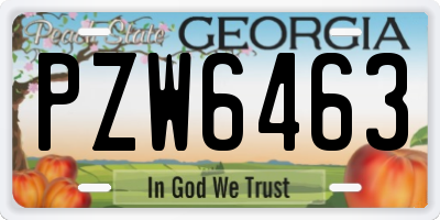 GA license plate PZW6463
