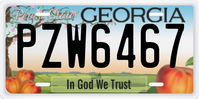 GA license plate PZW6467