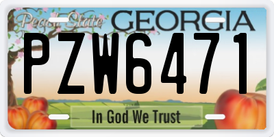 GA license plate PZW6471