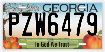 GA license plate PZW6479