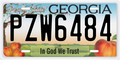 GA license plate PZW6484