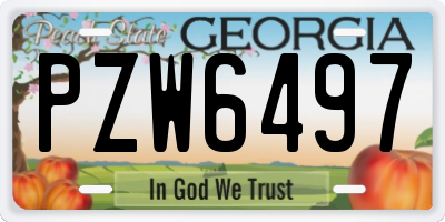 GA license plate PZW6497