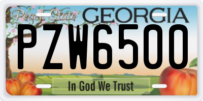 GA license plate PZW6500