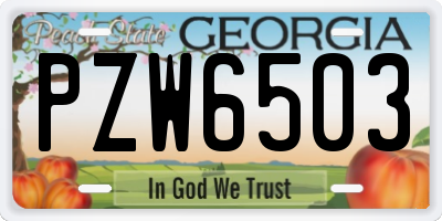 GA license plate PZW6503
