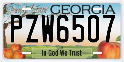 GA license plate PZW6507