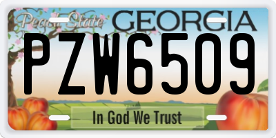GA license plate PZW6509