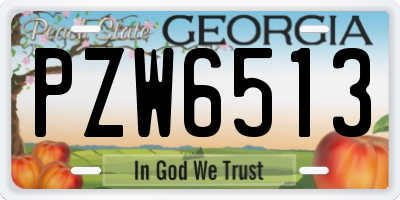 GA license plate PZW6513