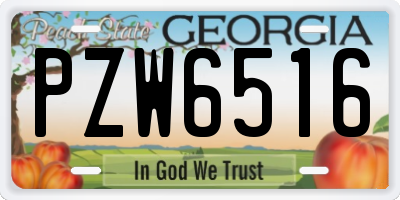 GA license plate PZW6516