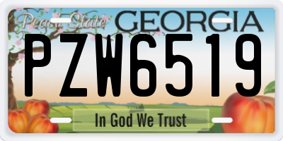 GA license plate PZW6519