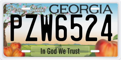 GA license plate PZW6524