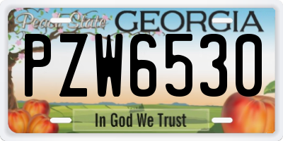 GA license plate PZW6530
