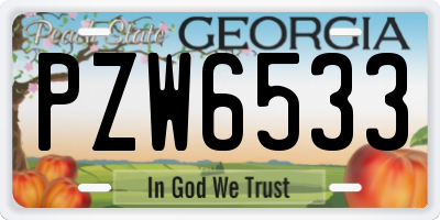 GA license plate PZW6533