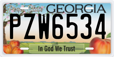 GA license plate PZW6534