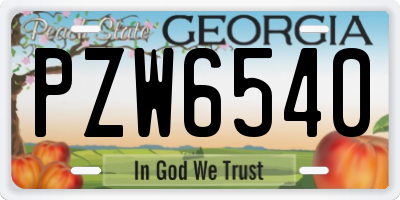 GA license plate PZW6540