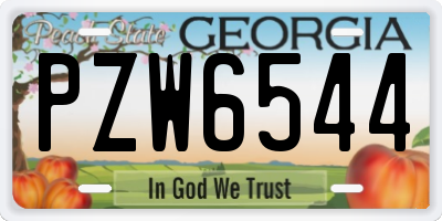 GA license plate PZW6544