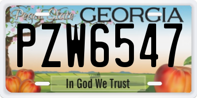 GA license plate PZW6547