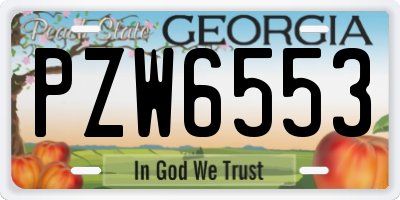 GA license plate PZW6553