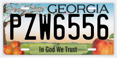 GA license plate PZW6556