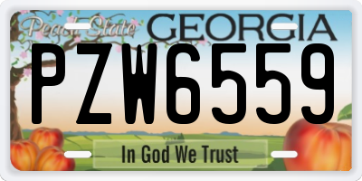 GA license plate PZW6559