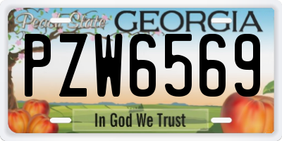 GA license plate PZW6569