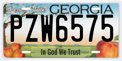 GA license plate PZW6575
