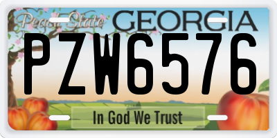 GA license plate PZW6576
