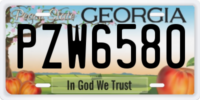 GA license plate PZW6580