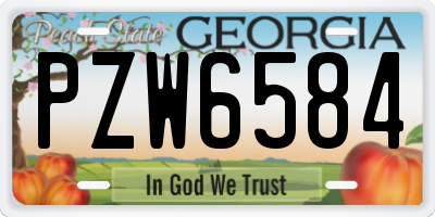 GA license plate PZW6584
