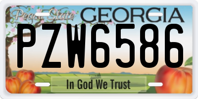 GA license plate PZW6586