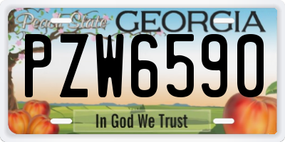 GA license plate PZW6590