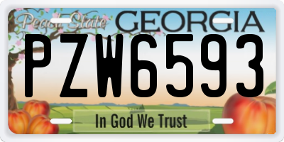 GA license plate PZW6593