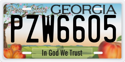 GA license plate PZW6605
