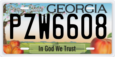 GA license plate PZW6608
