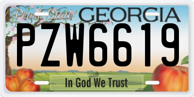 GA license plate PZW6619