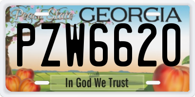GA license plate PZW6620