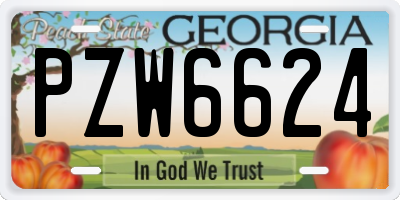 GA license plate PZW6624