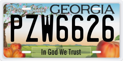 GA license plate PZW6626
