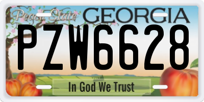 GA license plate PZW6628