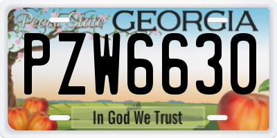 GA license plate PZW6630