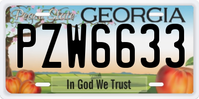 GA license plate PZW6633