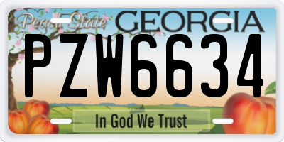 GA license plate PZW6634