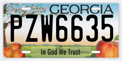 GA license plate PZW6635
