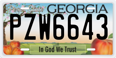 GA license plate PZW6643