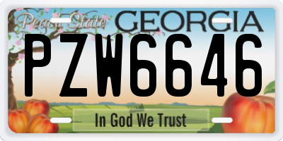 GA license plate PZW6646