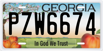 GA license plate PZW6674