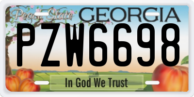 GA license plate PZW6698
