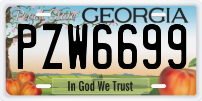 GA license plate PZW6699