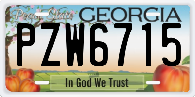 GA license plate PZW6715